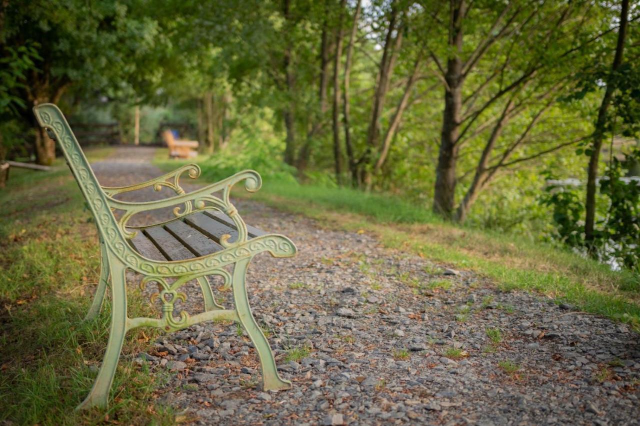 Domaine Des Z'ailes Guest house Saint-Florent-des-Bois